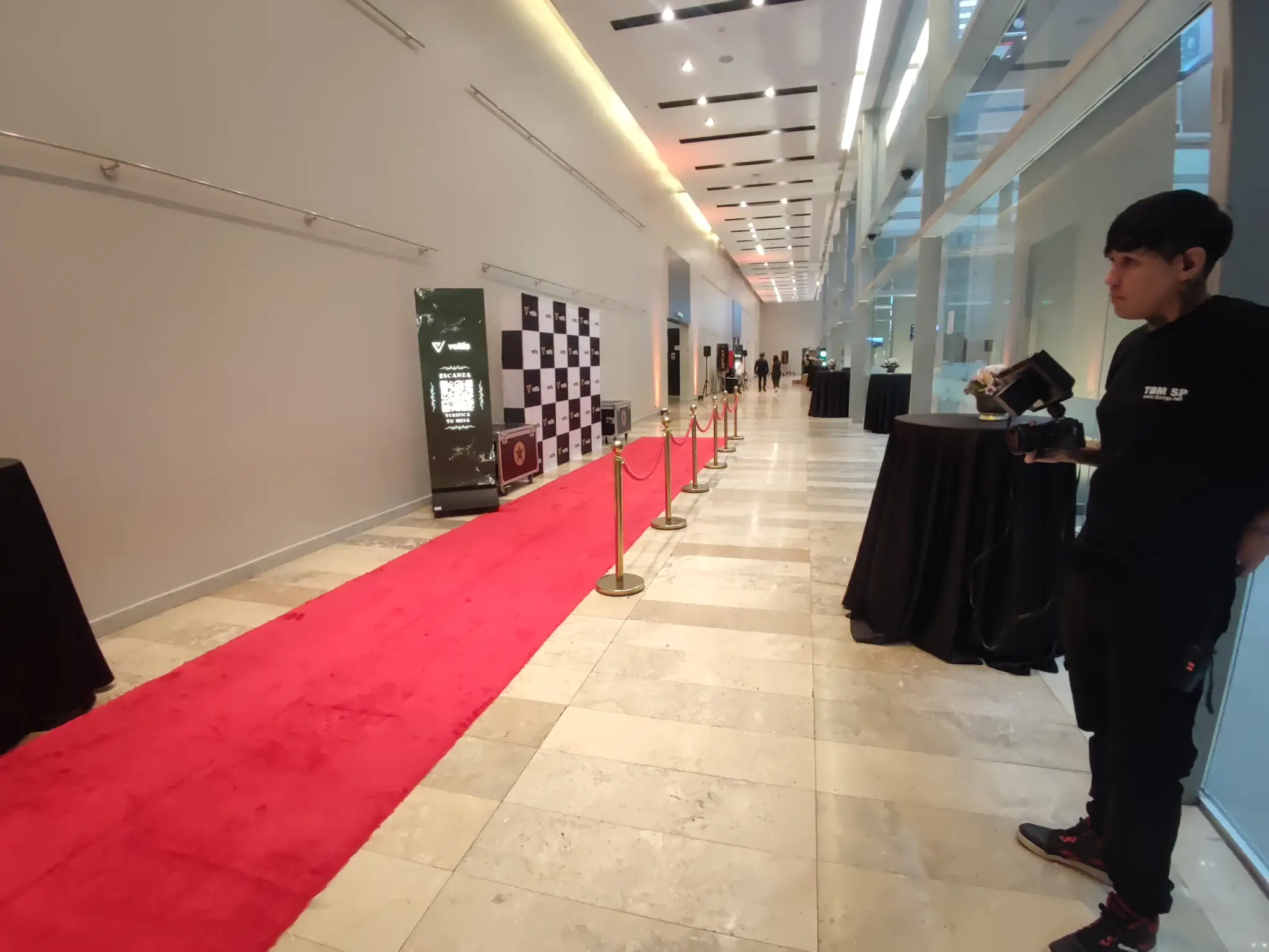 alfombra roja panel araña (1).webp